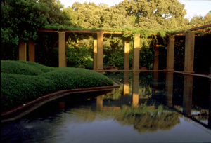 Neue Gartenkunst